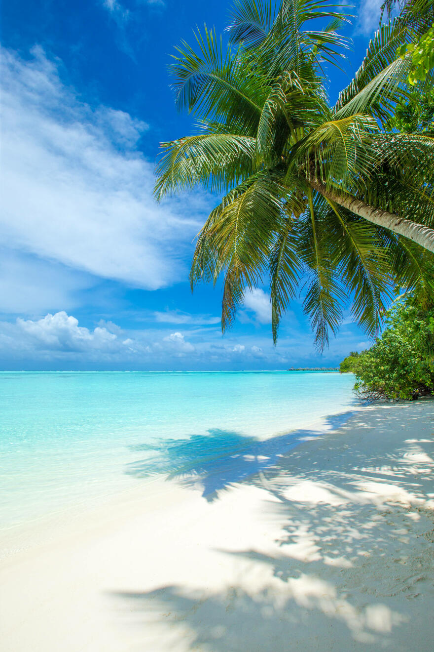 tropical-maldives-island-with-white-sandy-beach-sea.jpg