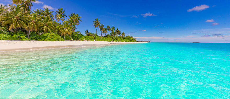 beach-nature-palm-sea-sand-beach-tropical-idyllic-paradise-island-exotic-landscape-dream.jpg