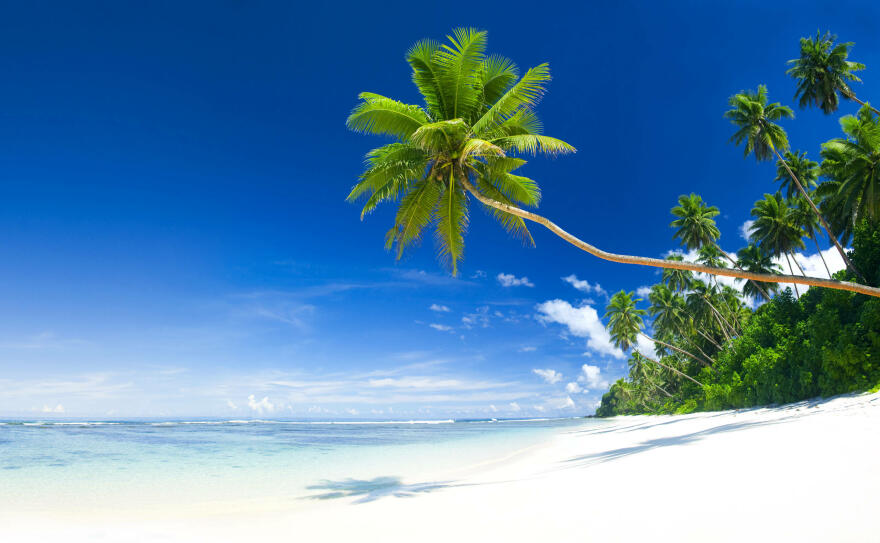 tropical-beach-samoa.jpg
