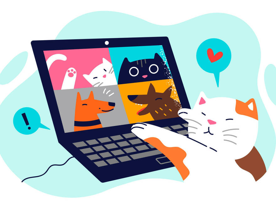 Don't interrupt, I'm busy