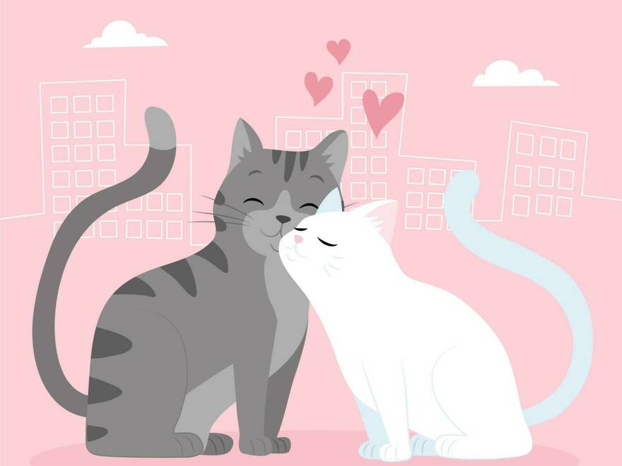 What  do you want, a diamond ring?